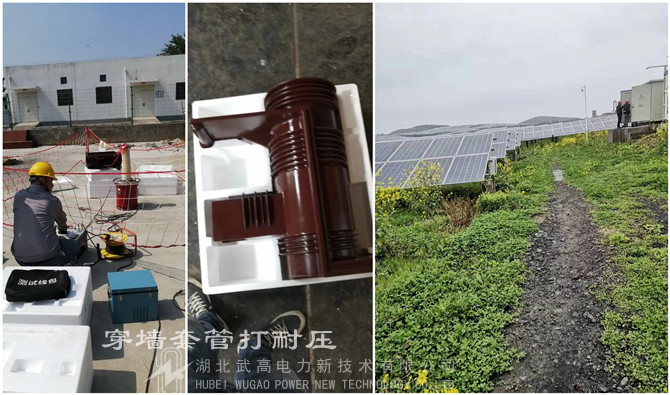 151413704.jpg 28121716e76t.jpg